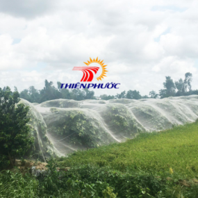 Lưới bảo vệ cây ăn quả là gì và tại sao bạn lại cần nó cho vườn cây của mình ?