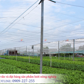 Lưới nông nghiệp là gì? Tìm hiểu khái niệm cơ bản