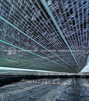 Hiệu quả của mô hình ao nuôi tôm có dùng lưới đen che nắng