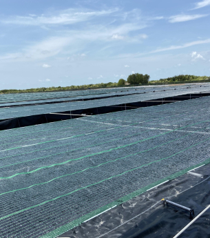 Vai trò của lưới che nắng trong tối ưu hóa năng suất nông nghiệp và chăn nuôi