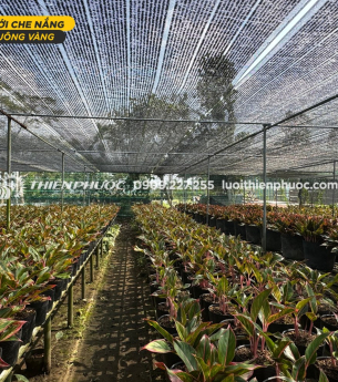 Vai trò của lưới che nắng trong tối ưu hóa năng suất nông nghiệp và chăn nuôi