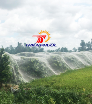 Lưới bảo vệ cây ăn quả là gì và tại sao bạn lại cần nó cho vườn cây của mình ?