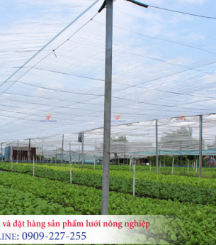 Lưới nông nghiệp là gì? Tìm hiểu khái niệm cơ bản