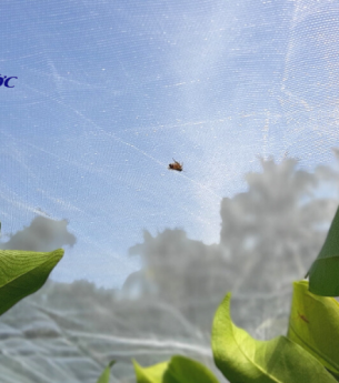 Vai trò lưới chắn côn trùng trong Nông Nghiệp 