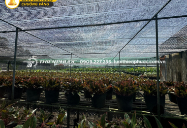 Lưới che nắng có giúp làm giảm nhiệt không?