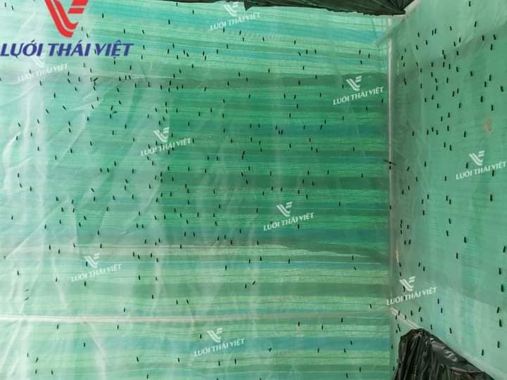 Lưới nuôi côn trùng