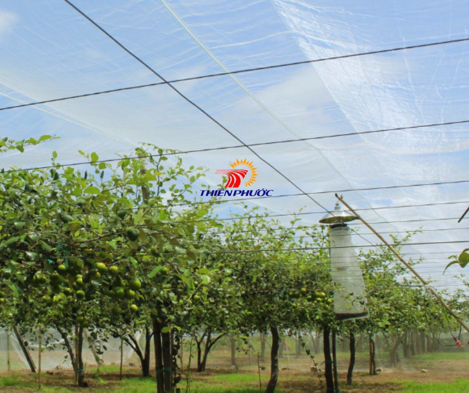 Lưới chắn ruồi vàng