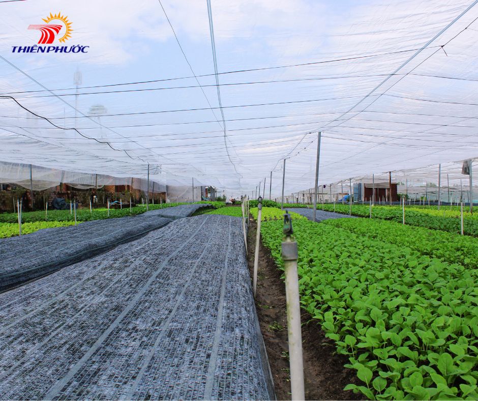 Nhà lưới trong nông nghiệp