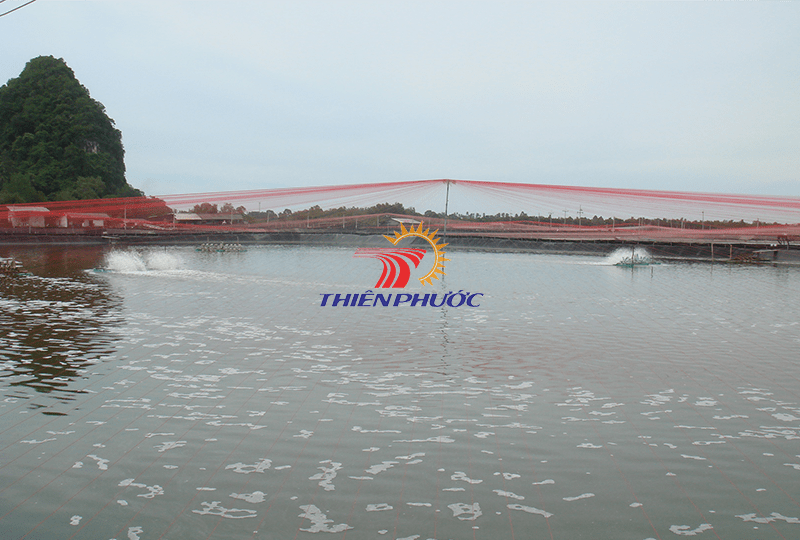 Lưới bảo vệ nuôi tôm cá