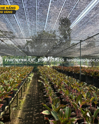 Vai trò của lưới che nắng trong tối ưu hóa năng suất nông nghiệp và chăn nuôi