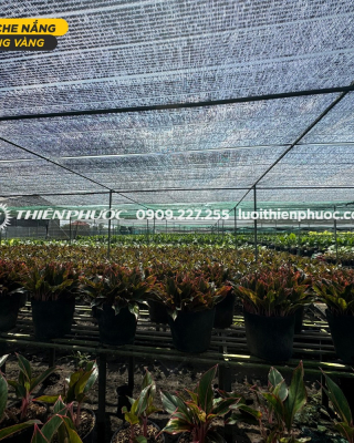 Lưới che nắng có giúp làm giảm nhiệt không?
